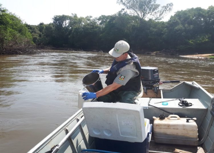Coleta tem apoio do Comando Ambiental da BM, que cede um barco para a equipe chegar a pontos de difícil acesso — Foto: Divulgação/Fepam